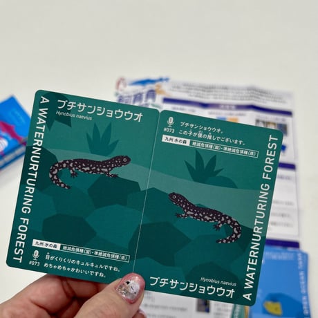 オリジナルカードゲーム　飼育員衰弱