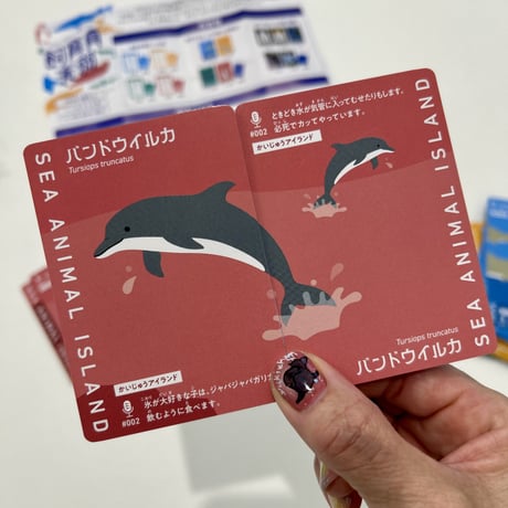 オリジナルカードゲーム　飼育員衰弱