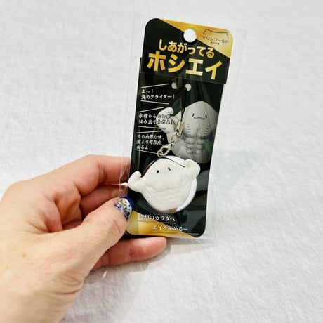 しあがってるホシエイ
