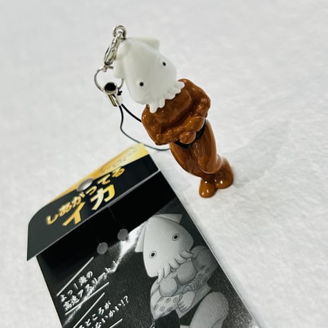 しあがってるイカ