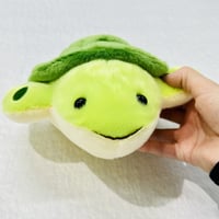 ぽちゃまる ウミガメ
