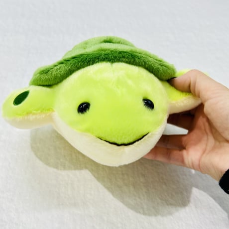 ぽちゃまる ウミガメ