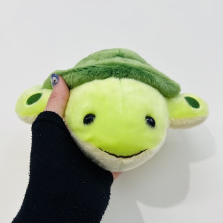 ぽちゃまる ウミガメ
