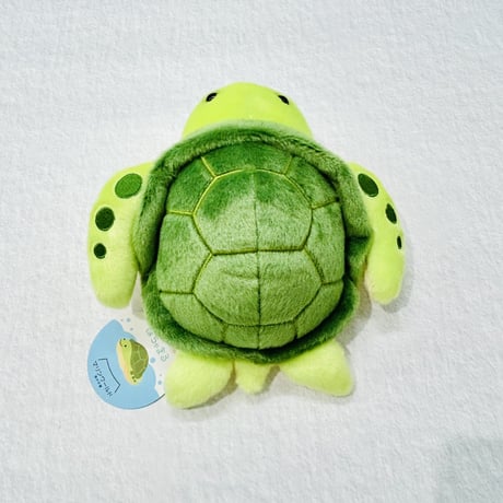 ぽちゃまる ウミガメ