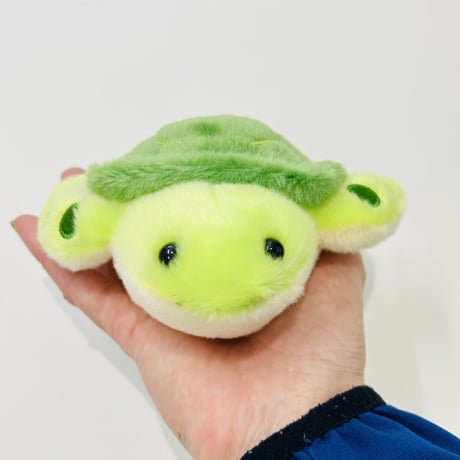 ぽちゃまる ウミガメ（S）