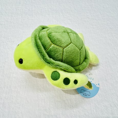 ぽちゃまる ウミガメ