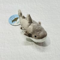 ぽちゃまる シロワニ（S）