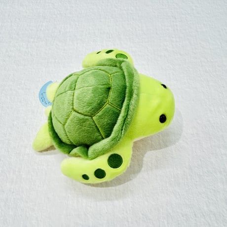 ぽちゃまる ウミガメ