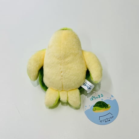 ぽちゃまる ウミガメ（S）