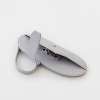 EAUVUE carry case ice gray