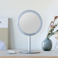 LED stand mirror