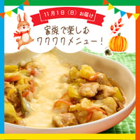 【単週プラン】11/1週お届け分
