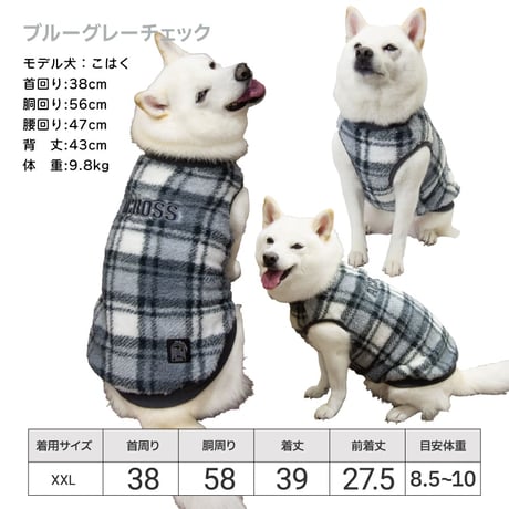 ふわふわメッセージタンク