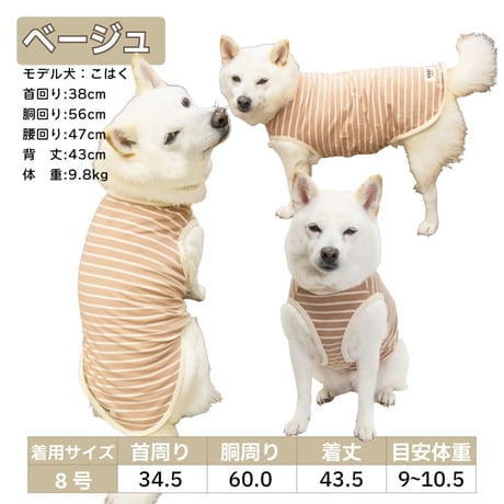 ボーダーズクラブ タンク 6.5～16kg