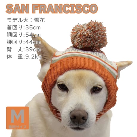 カレッジシティニットキャップ S M L
