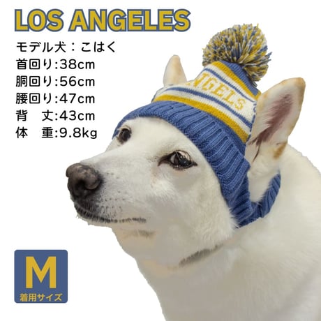 カレッジシティニットキャップ S M L