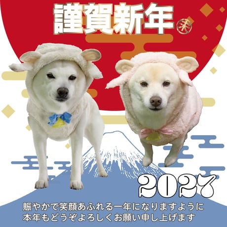 干支のコスチューム ひつじさんパーカー XL XXL 7～10kg