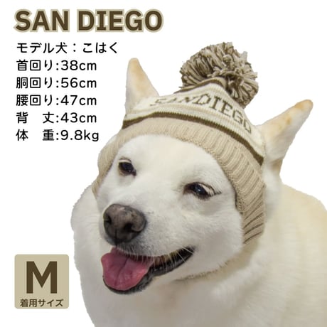 カレッジシティニットキャップ S M L