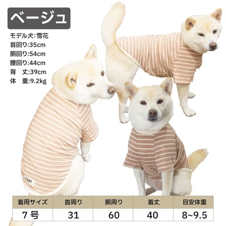 ボーダーズクラブ Tシャツ 7～16kg