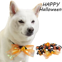 ハロウィンパーティーチョーカー