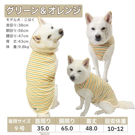 ボーダーズクラブ タンク 6.5～16kg