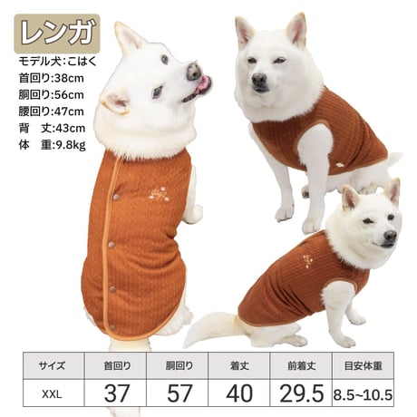 背中開きあったかリバーシブルタンク XL XXL 6.5～10.5kg