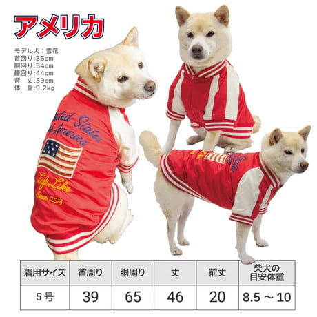 フラッグスカジャン