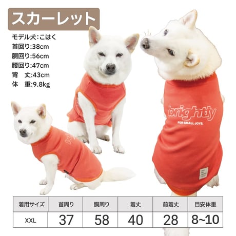 裏起毛バックプリントタンク XL XXL 7～10kg