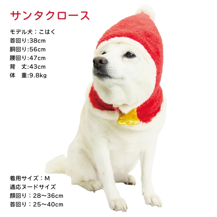 6ae2b57ac9c477c36c95f9d1