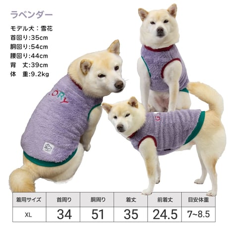 ふわふわメッセージタンク