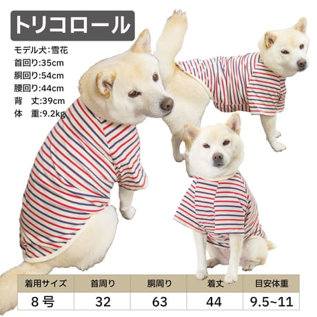 ボーダーズクラブ Tシャツ 7～16kg