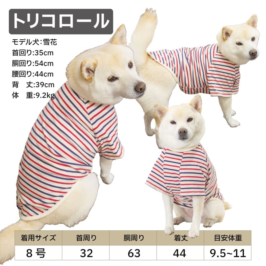 6a9b691db5a95947b5334ae6