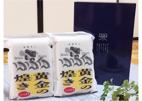 【事前予約】令和8年産飛騨こしひかり 黄金の煌き2kg×2　（真空パック）　＜贈答用化粧箱入り＞