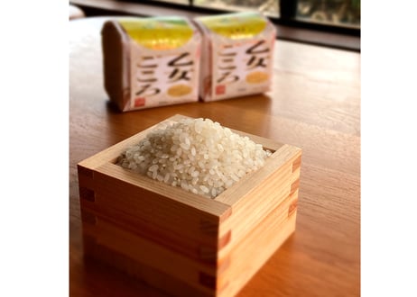 【事前予約】令和8年産飛騨ミルキークイーン「乙女ごころ」2kg×2　（真空パック）　＜贈答用化粧箱入り＞