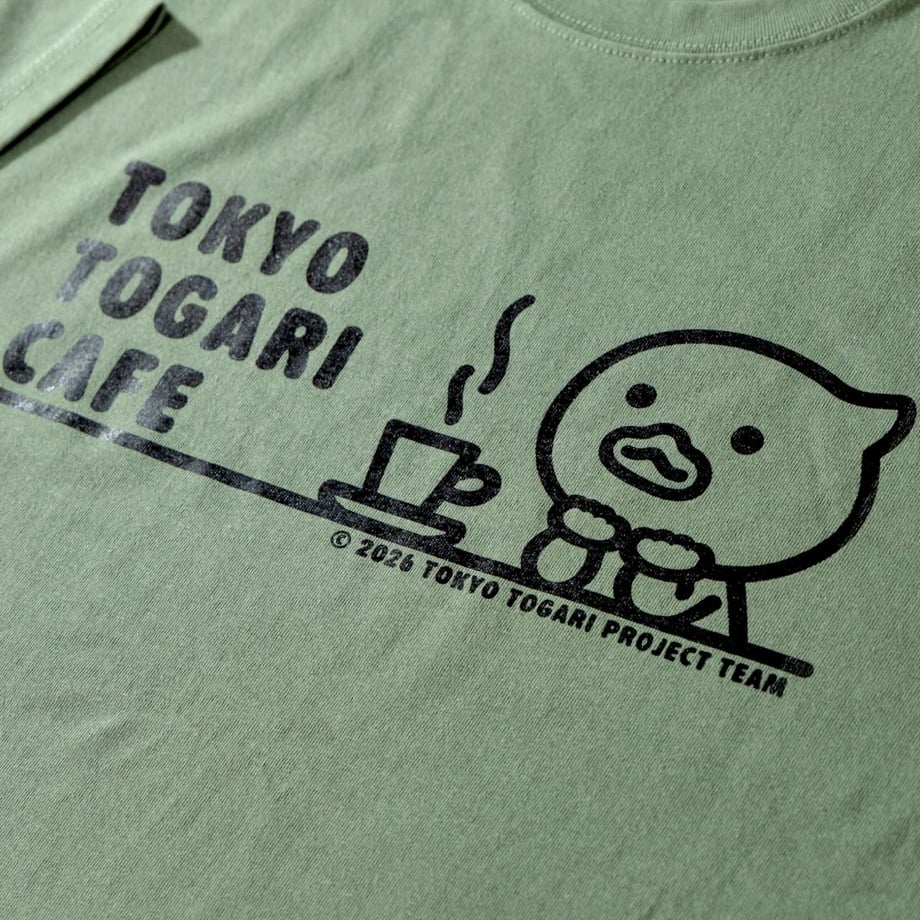6ab6095ea32c1a8b40ef0d73