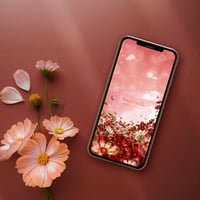 【甘く染まるチョコレートコスモス】🌸秋空に咲き誇る深紅の花畑✨愛情・情熱・調和を彩る開運待ち受け
