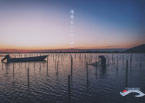 【海香るハレの一皿へ】すじ青のり(徳島県吉野川産)