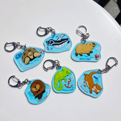 CATEGORY カメレオン | átoa MUSEUM SHOP アトアミュージアムショップ