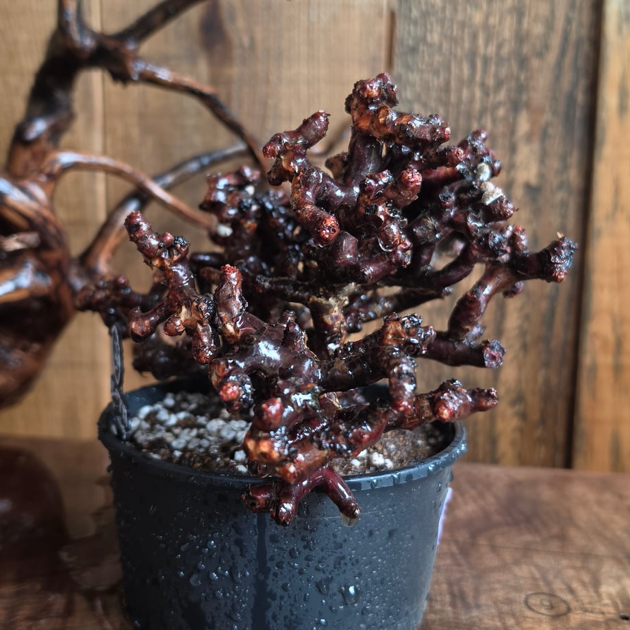 6a7e65e8df8774aeb362c623