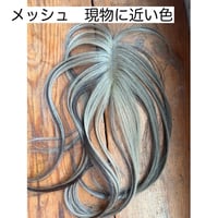 Color Free wig  カラーフリーウィッグ