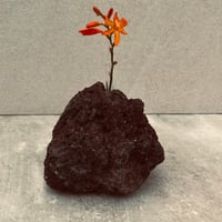 阿蘇溶岩石1輪挿し/花瓶/オブジェ(中）