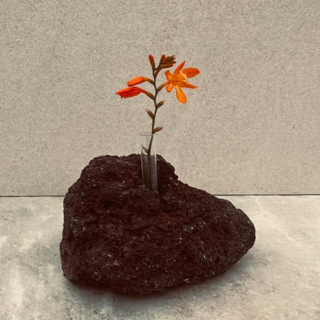 阿蘇溶岩石1輪挿し/花瓶/オブジェ(中）