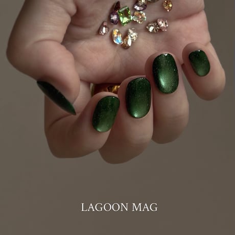 magnet : broccoli