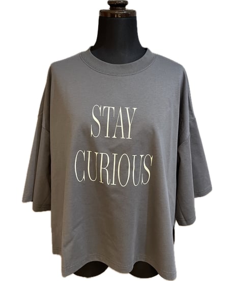(Dignite collier )STAYCURIOUSTシャツ/80269752(¥6490)