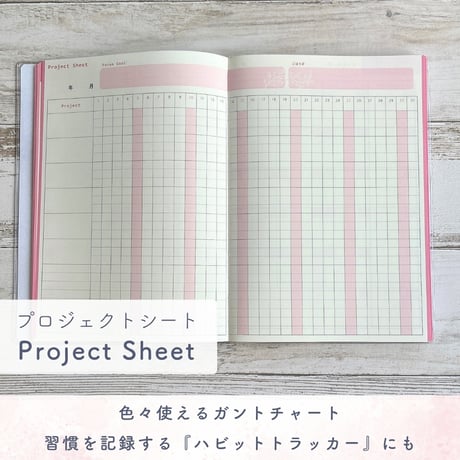 24Diary  ミントグリーン（１冊３ヶ月・日付フリー）「風にのって、未来が動き出す。」