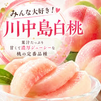 樹上熟成プレミアムピーチ　白桃【川中島白桃】〈1-4kg〉