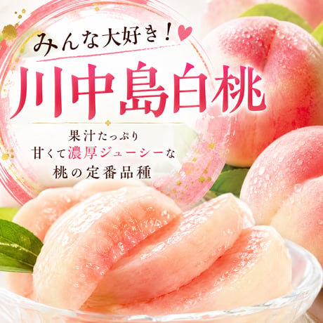 樹上熟成プレミアムピーチ　白桃【川中島白桃】〈1-4kg〉