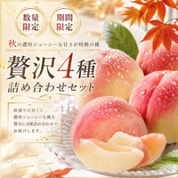🌟数量限定🌟秋の濃厚厳選桃　贅沢4種詰め合わせ〈1-4kg〉
