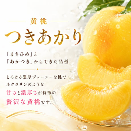 樹上熟成プレミアムピーチ　濃厚ジューシーなとろける黄桃【つきあかり】〈1-4kg〉