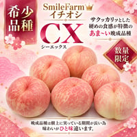 樹上熟成プレミアムピーチ　白桃【シーエックス】〈1-4kg〉